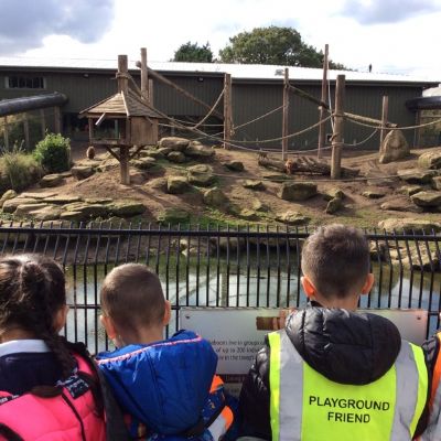 Y1 Yorkshire Wildlife Park